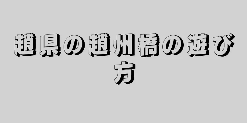 趙県の趙州橋の遊び方
