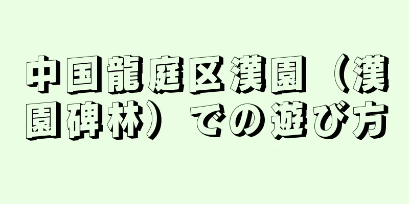 中国龍庭区漢園（漢園碑林）での遊び方