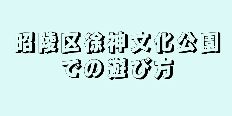 昭陵区徐神文化公園での遊び方