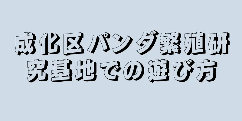 成化区パンダ繁殖研究基地での遊び方
