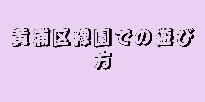 黄浦区豫園での遊び方