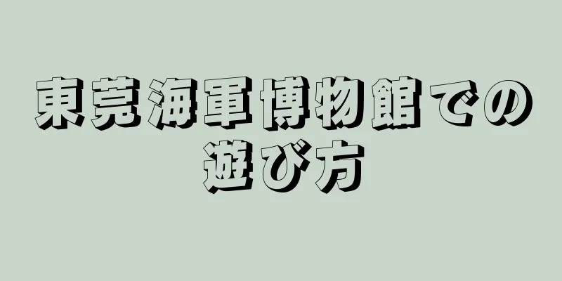 東莞海軍博物館での遊び方