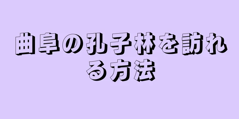 曲阜の孔子林を訪れる方法