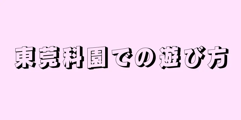 東莞科園での遊び方