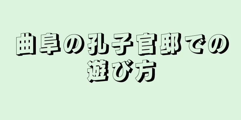 曲阜の孔子官邸での遊び方