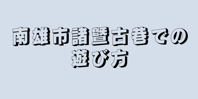 南雄市諸曁古巷での遊び方
