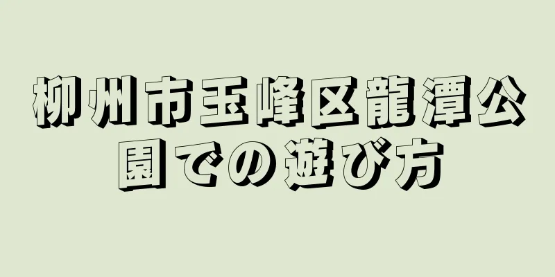 柳州市玉峰区龍潭公園での遊び方