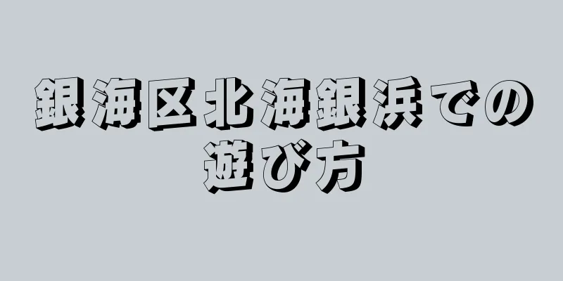 銀海区北海銀浜での遊び方
