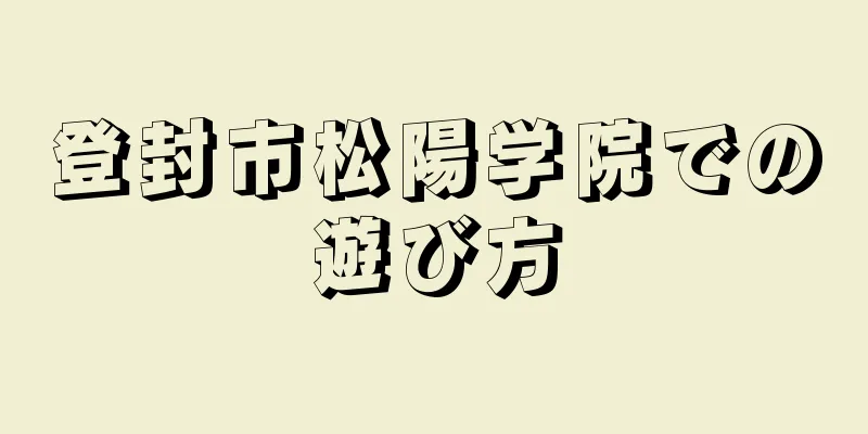登封市松陽学院での遊び方