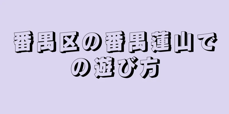 番禺区の番禺蓮山での遊び方