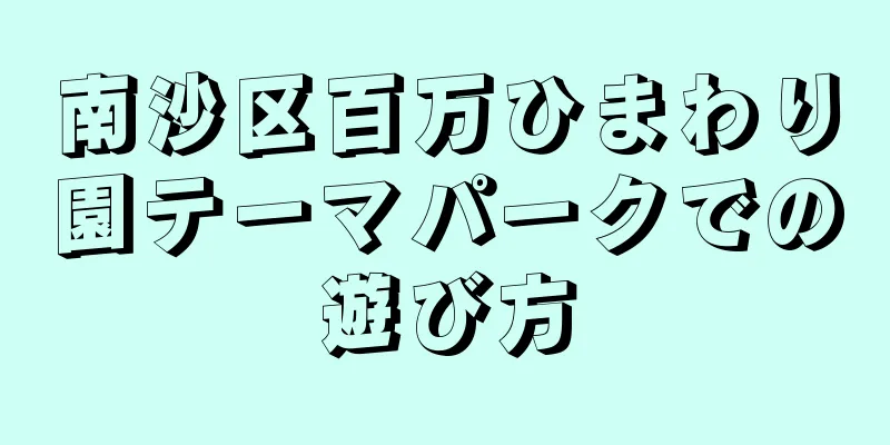南沙区百万ひまわり園テーマパークでの遊び方