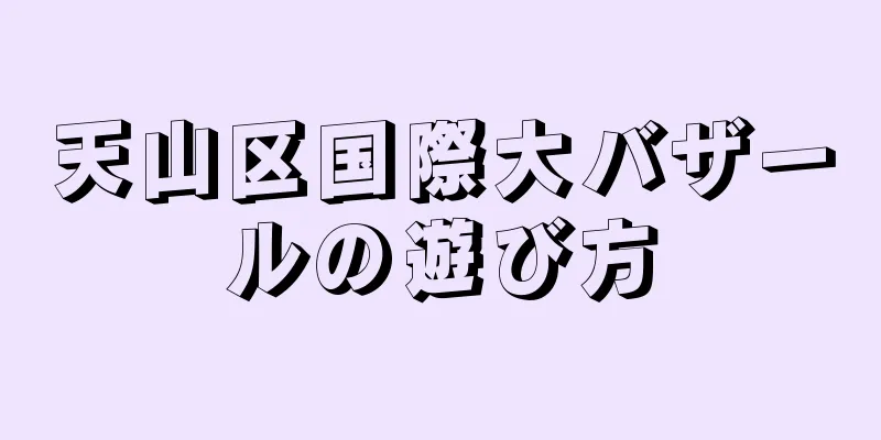 天山区国際大バザールの遊び方
