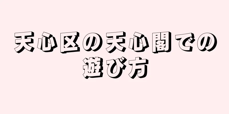 天心区の天心閣での遊び方