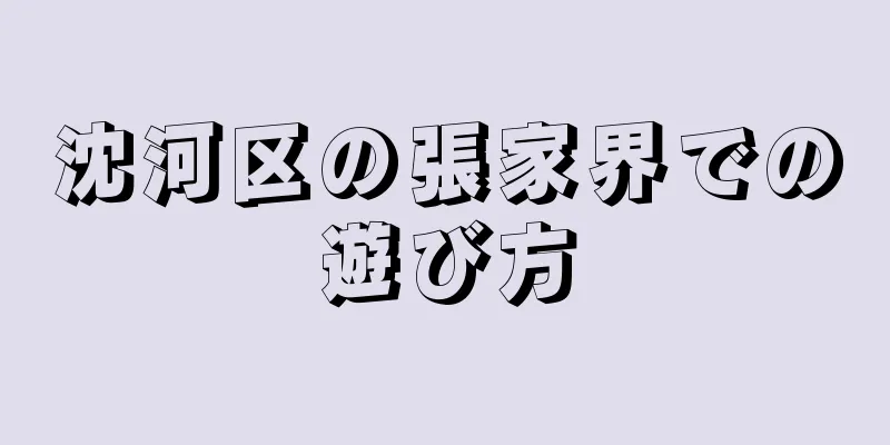 沈河区の張家界での遊び方