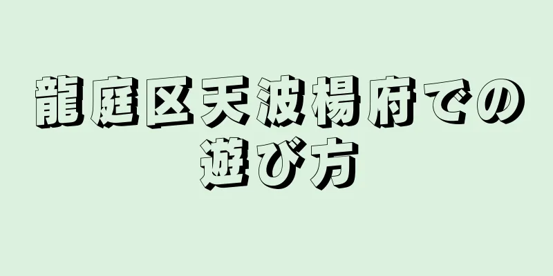 龍庭区天波楊府での遊び方