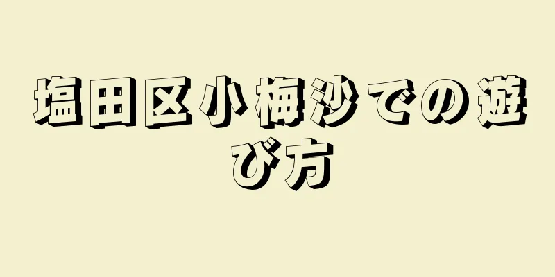 塩田区小梅沙での遊び方