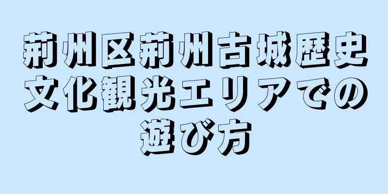 荊州区荊州古城歴史文化観光エリアでの遊び方