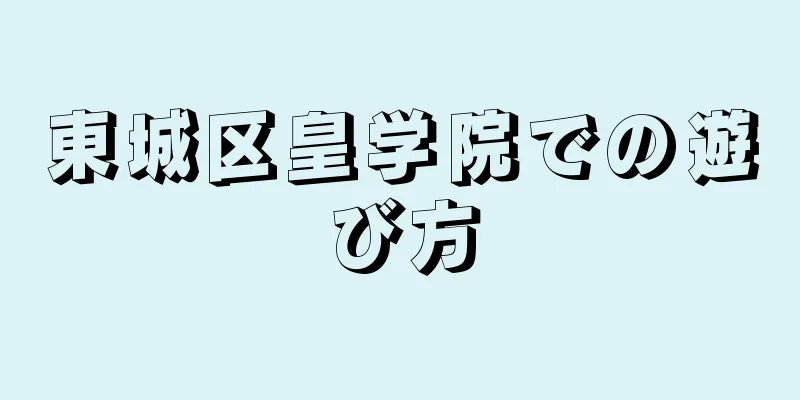 東城区皇学院での遊び方