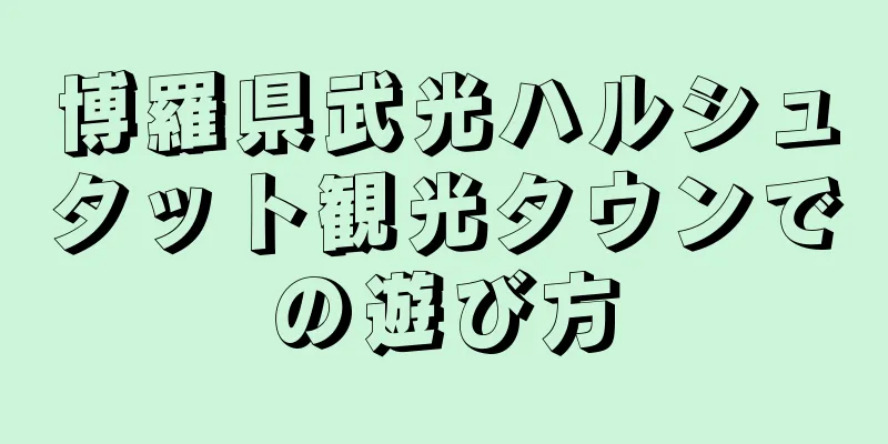 博羅県武光ハルシュタット観光タウンでの遊び方