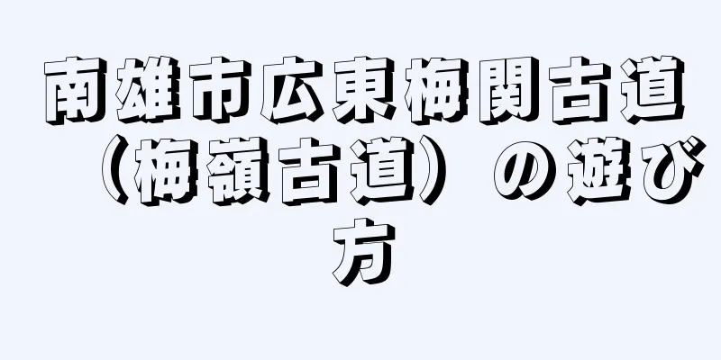 南雄市広東梅関古道（梅嶺古道）の遊び方