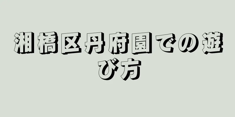 湘橋区丹府園での遊び方