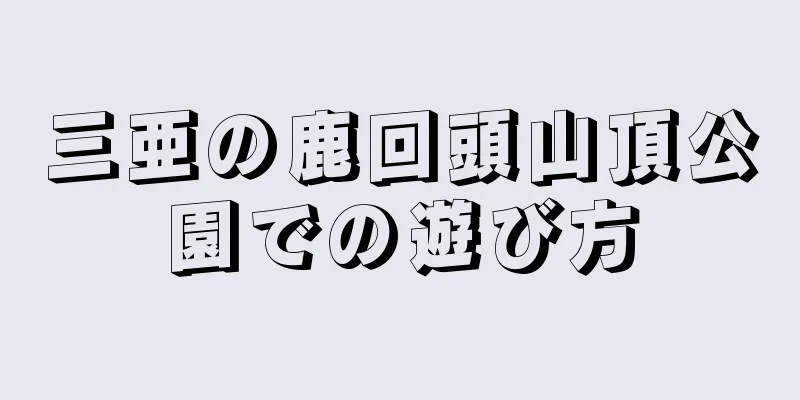 三亜の鹿回頭山頂公園での遊び方