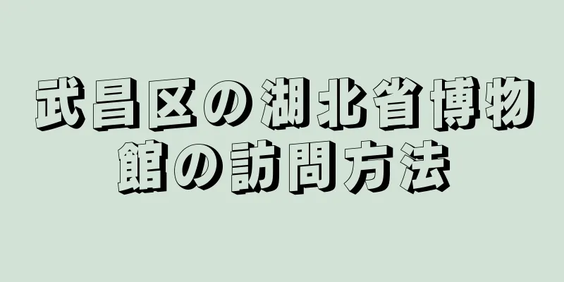 武昌区の湖北省博物館の訪問方法