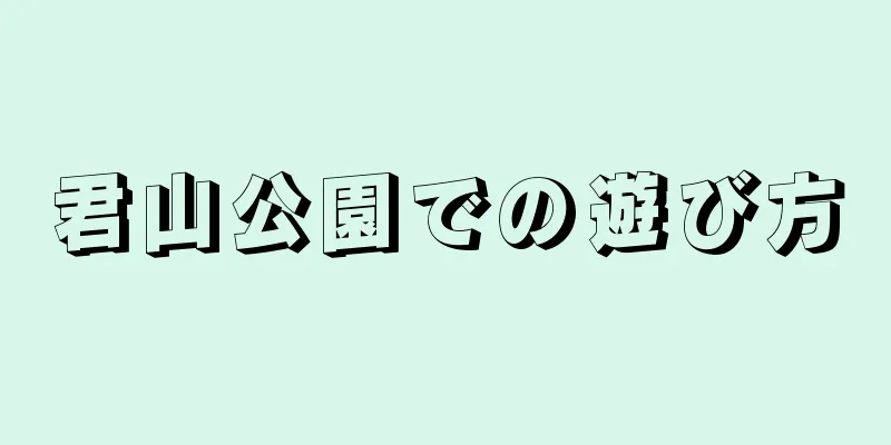 君山公園での遊び方