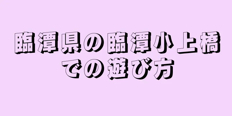 臨潭県の臨潭小上橋での遊び方