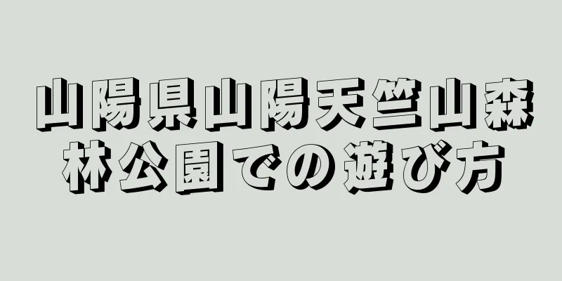 山陽県山陽天竺山森林公園での遊び方