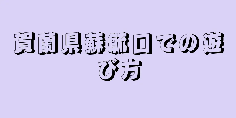 賀蘭県蘇毓口での遊び方