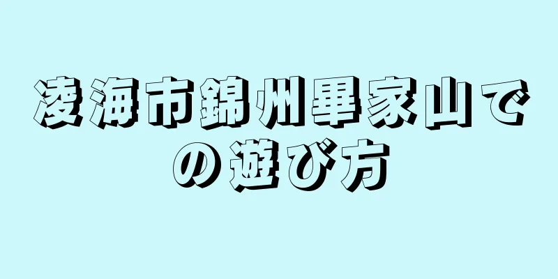 凌海市錦州畢家山での遊び方