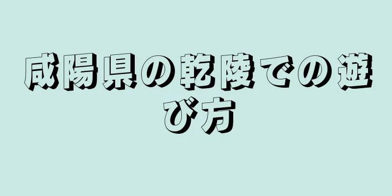 咸陽県の乾陵での遊び方