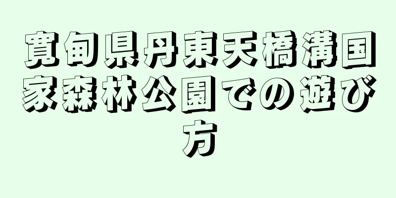 寛甸県丹東天橋溝国家森林公園での遊び方