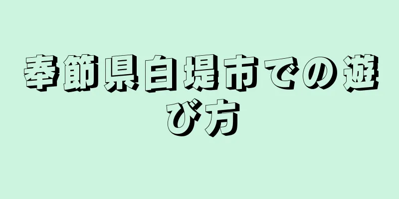 奉節県白堤市での遊び方