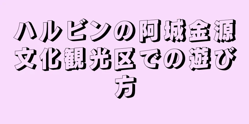 ハルビンの阿城金源文化観光区での遊び方