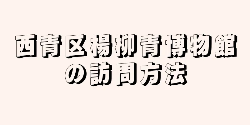 西青区楊柳青博物館の訪問方法