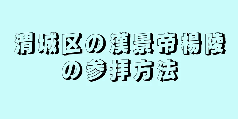 渭城区の漢景帝楊陵の参拝方法