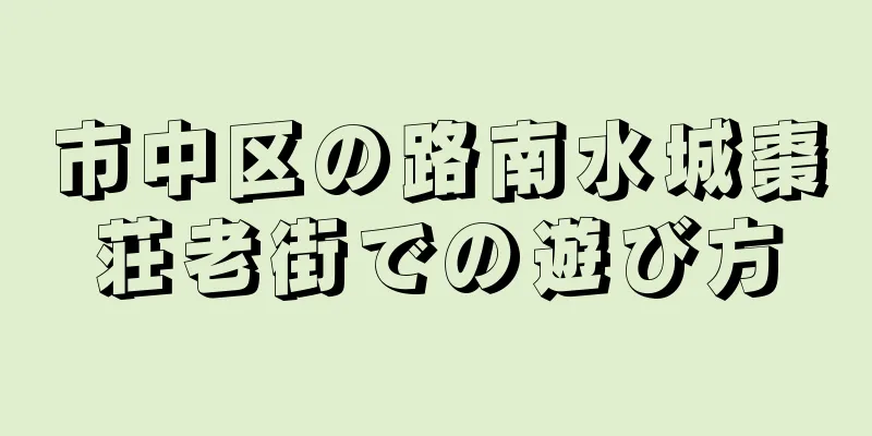 市中区の路南水城棗荘老街での遊び方