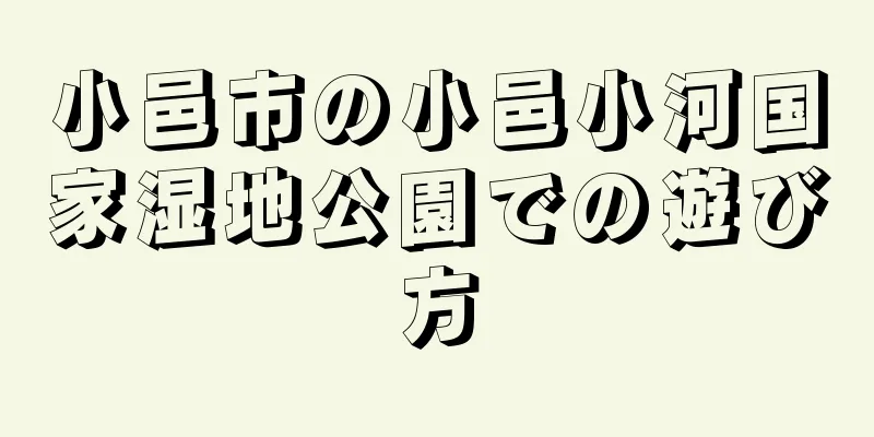 小邑市の小邑小河国家湿地公園での遊び方