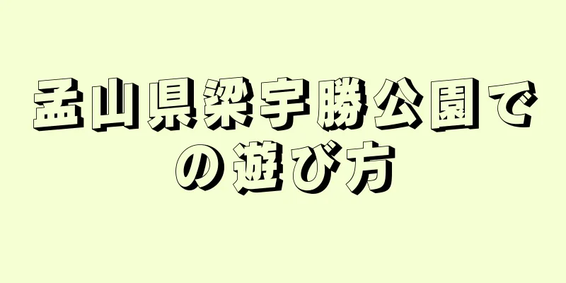 孟山県梁宇勝公園での遊び方