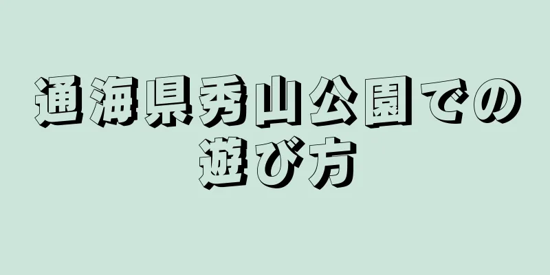 通海県秀山公園での遊び方