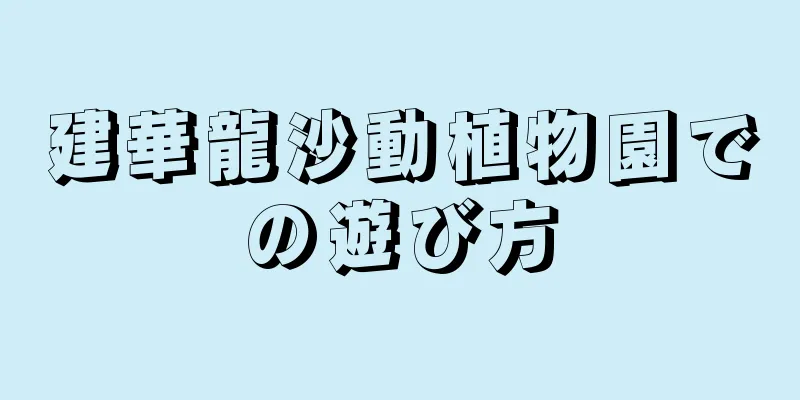 建華龍沙動植物園での遊び方