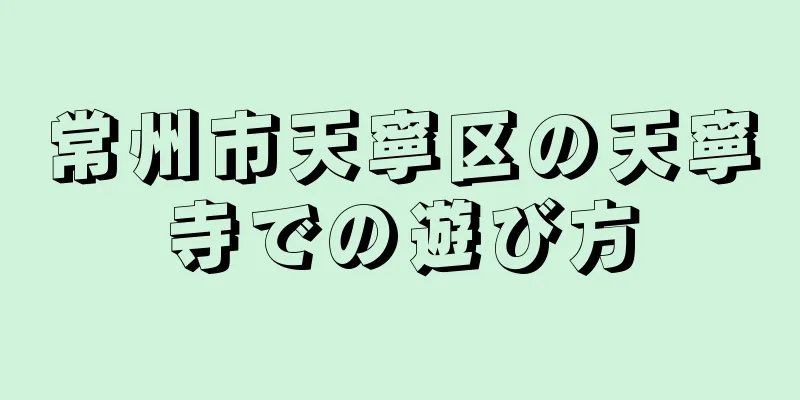 常州市天寧区の天寧寺での遊び方