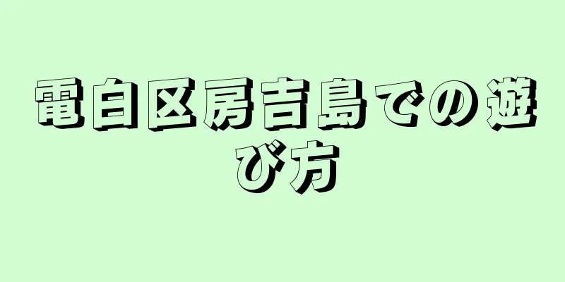 電白区房吉島での遊び方