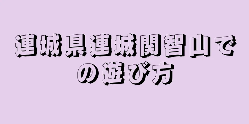 連城県連城関智山での遊び方