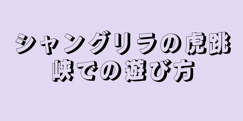 シャングリラの虎跳峡での遊び方