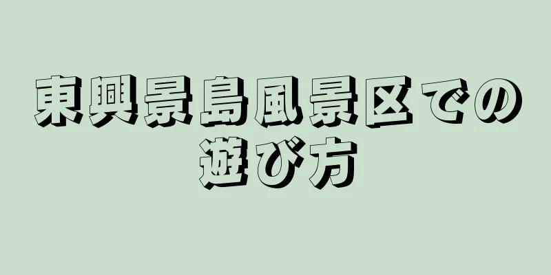 東興景島風景区での遊び方