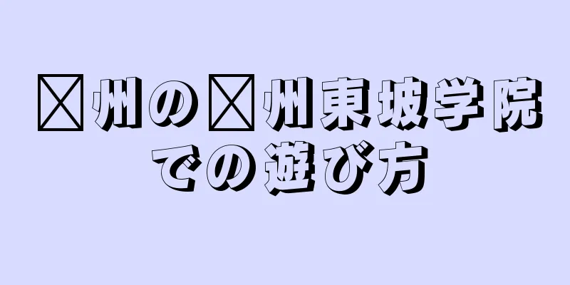 儋州の儋州東坡学院での遊び方