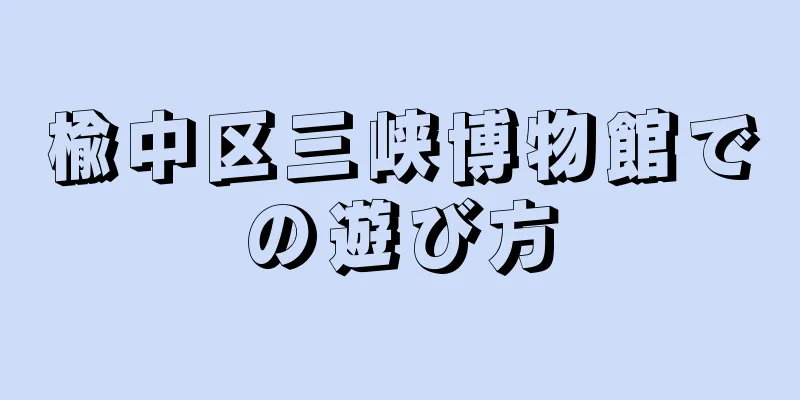 楡中区三峡博物館での遊び方